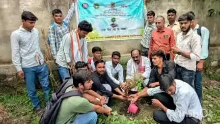 गोहद: महर्षि अरविंद महाविद्यालय गोहद में पूर्व मंत्री लालसिंह आर्य ने 'एक पेड़ मां के नाम' अभियान के तहत किया वृक्षारोपण