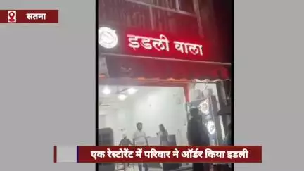 सतना के रेस्टोरेंट में इडली के सांभर में मिली मरी छिपकली, परिवार ने किया शिकायत
