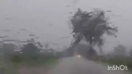 नेपानगर: बुरहानपुर में बारिश से मुसीबत, सीवल-डाभियाखेड़ा रोड पर पेड़ गिरा, वन विभाग ने रास्ता बहाल किया