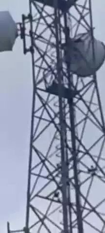 करछना: भडेवरा गांव में बैंक से लोन न मिलने पर मोबाइल फोन टावर पर चढ़ा सिर फिरा युवक, पुलिस ने कड़ी मशक्कत कर उसे नीचे उतारा