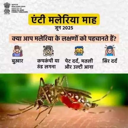 #AntiMalariaMonth | मलेरिया के लक्षणों को पहचानना है ज़रूरी!

ऐसे लक्षण दिखें तो नज़रअंदाज़ न करें — तुरंत जाँच कराएँ और पूरा इलाज करवाएँ।
#railminindia
#MoHFW_INDIA