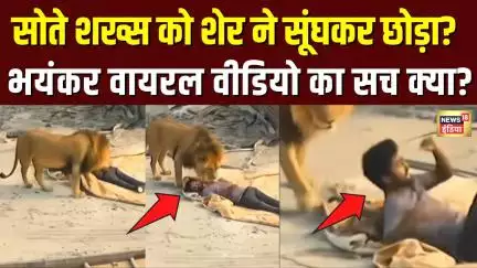 Viral Lion Video: Gujarat का बताकर शेयर किए जा रहे वीडियो का सच क्या? | N18V