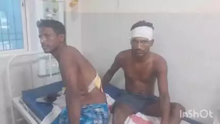 अररिया: बघेला गांव में खेत में मवेशी जाने के बाद दो पक्षों में हुई हिंसक झड़प, आधा दर्जन लोग घायल