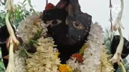 ফলতা: 4 নম্বর হল্ট এলাকায় রথ যাত্রার আয়োজন