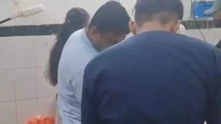 पाली: 72 फीट बालाजी के निकट मवेशी को बचाने के दौरान ब्रेक लगाने से बाइक सवार पिता-पुत्री गिरकर हुए घायल, इलाज जारी
