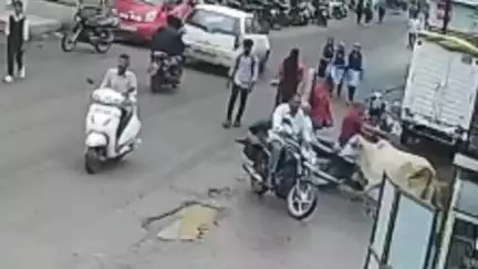 दिंडोरी: कळवन येथील मोकाट गुरांचा बंदोबस्त करा, खासदार भास्कर भगरेंची वनी येथे मागणी