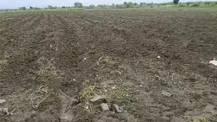 करेली: जिले में लगातार हो रही बारिश से किसान चिंतित, कहा- फसल बुआई करने का नहीं मिल रहा मौक़ा