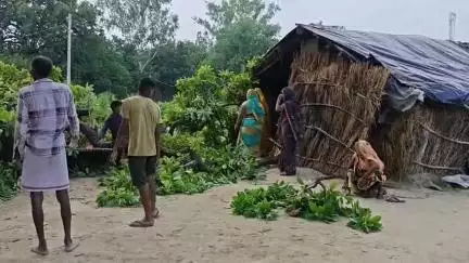 करछना: बस्तर गांव में महुआ पेड़ के नीचे सोते समय अचानक टूटकर गिरी डाल, दो लोगों को हुई मामूली चोटें, अन्य सुरक्षित