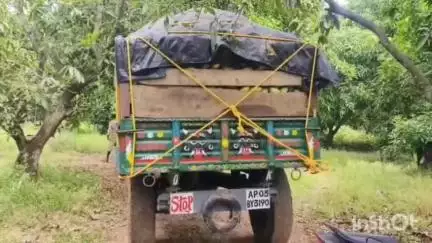 పూతలపట్టు: మామిడి కాయలు ఉన్న ట్రాక్టర్ ను అడ్డుకున్న అటవీ అధికారులు చావే శరణ్యం అంటున్న ముచ్చుకాలువ రైతులు #localissue