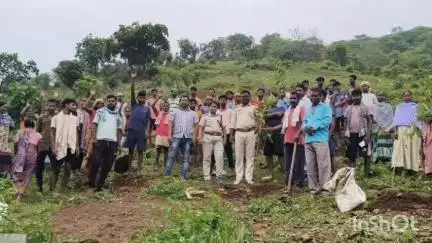 ବୀରମିତ୍ରପୁର: ବୀରମିତ୍ରପୁର ବନାଞ୍ଚଳ ଅନ୍ତର୍ଗତ ହାତୀବାରି ସେକସନରେ ଚାରା ରୋପଣ ଆରମ୍ଭ