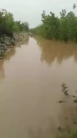 छछरौली: छछरौली के बरौली माजरा में टूटी पटरी की तीन दिन बाद भी मरम्मत नहीं