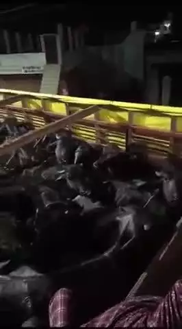 फतेहपुर: सदर के लोधीगंज में गौ रक्षक दल ने पुलिस के साथ मिलकर पकड़ी डीसीएम, 70 पड़वा थे लदे