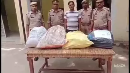 अतर्रा: बरहेंडा गांव से अवैध गांजे की खेती करने वाले अभियुक्त को अतर्रा पुलिस ने किया गिरफ्तार, 15 किलो गांजा बरामद