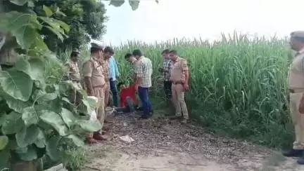 बुढ़ाना: बुढाना पुलिस ने रेप के वांछित आरोपी राजू पुत्र आनन्द फुगाना को पैर में गोली लगने के बाद मुठभेड़ में किया गिरफ्तार