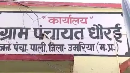 पाली: ग्राम धौरई में शिवप्रसाद ने पत्नी मधु से घरेलू विवाद में की मारपीट, पाली थाने में मामला दर्ज