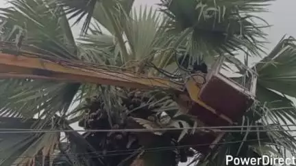 जगदीशपुर: जगदीशपुर नगर में बिजली मेंटेनेंस के कारण 5 घंटे तक बिजली आपूर्ति रही बाधित