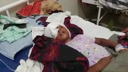 पेण्ड्रा रोड गौरेला: ग्राम ठेंगाडांड में पड़ोसी के कुत्ते ने मासूम को गंभीर रूप से किया घायल, जिला अस्पताल में चल रहा इलाज