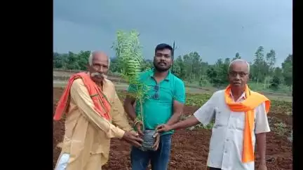 चांद: चांद नगर की टेकरी में नगर परिषद अध्यक्ष द्वारा 200 पौधों का रोपण