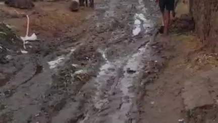 सहार: हातिमगंज पेरहाप पंचायत में जर्जर सड़क बनी ग्रामीणों की मुसीबत, आंदोलन की चेतावनी
#jansamasya