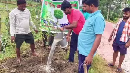 କବିସୂର୍ଯ୍ୟନଗର: ଵି. ନୂଆପଲ୍ଲୀ ରେ ମା ପାଇଁ ଗଛ ଟିଏ କାର୍ଯ୍ୟକ୍ରମ ଅନୁଷ୍ଠିତ