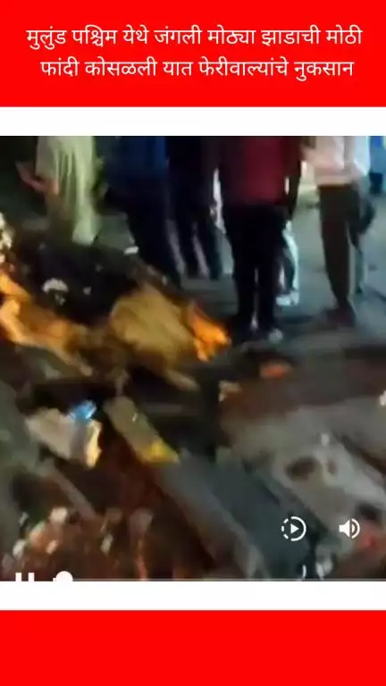 मुलुंड पश्चिम येथे जंगली मोठ्या झाडाची मोठी
 फांदी कोसळली यात फेरीवाल्यांचे नुकसान