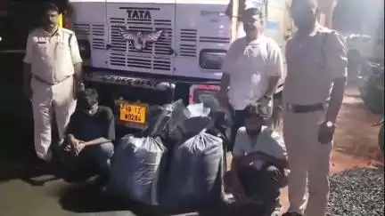 नीमच नगर: हर्कियाखाल चौकी पुलिस की कार्रवाई: हाईवे पर ट्रक से 100 किलो डोडाचूरा बरामद, दो भाई गिरफ्तार