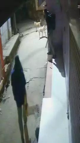 पहाड़ी: कामां कस्बा में चोरों ने हथियारों से लैस होकर दुकानों में तोड़फोड़ कर चोरी का प्रयास किया, वीडियो हुआ वायरल