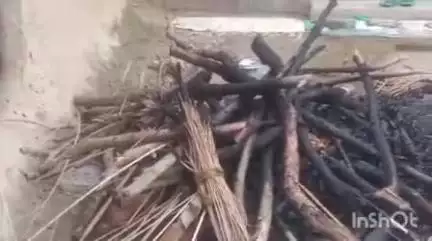 বাক্সা: শিমলাবাৰীত পুত্ৰৰ হাতত মাতৃ নিহত, মাতৃক হত্যা কৰি জলাই দিয়ে চোতালত
