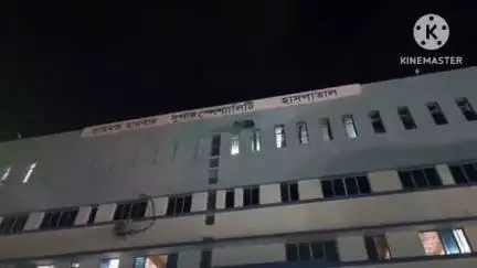 মগরাহাট ১: ভগবানপুর এলাকায় বৃষ্টির জমা জলে মাছ ধরার সময় সাপের কামড়ে অসুস্থ হয় এক যুবক
