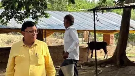 पट्टी: बिजहरा की अस्थाई गौशाला का वीडियो निरीक्षण, सफाई न होने पर जमकर लगाई गई फटकार