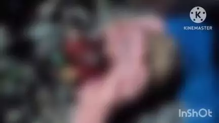 बिल्हा: दगौरी निपानिया ट्रैक पर ट्रेन के सामने कूदकर आत्महत्या करने से युवक का सिर धड़ से हुआ अलग, बिल्हा पुलिस विवेचना कर रही है