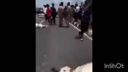 सावनेर: छत्रपूर नांदागोमुख फाटा जवळ महामार्गावर भीषण अपघात, 25 जनावरांचा मृत्यू