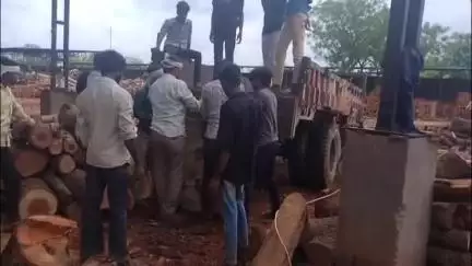 माण्डलगढ़: खटवाड़ा में सरकारी बिला नाम भूमि पर संचालित अवैध आरा मशीनों पर बड़ी कार्रवाई