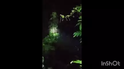 കോതമംഗലം: കോട്ടപ്പടിയിൽ കാട്ടുകൊമ്പൻ കിണറ്റിൽ വീണു, സമീപത്ത് നിലയുറപ്പിച്ച് കാട്ടാനക്കൂട്ടം
