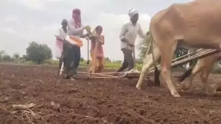 बसमत: 17 दिवसाच्या प्रतीक्षेनंतर 26 जूनच्या रात्रभर संततधार पाऊस पडल्याने आज रोजी पेरणीला शेतकऱ्यांनी केली सुरुवात