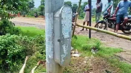 जरमुण्डी: जरमुंडी प्रखंड के दर्शनीया टिकर के पास बिजली के तार में करंट लगने से पशुधन की मौत
