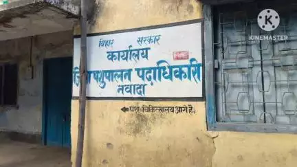 नवादा: नवादा जिले के विभिन्न प्रखंड एवं पंचायत में पशु मोबाइल यूनिट का विशेष कैंप लगेगा, जिला पशुपालन विभाग ने दी जानकारी