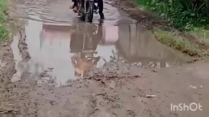 राजापाकर: बखरी बड़ाई पंचायत के वार्ड नंबर 1 चौसीमा कल्याणपुर में सड़क खराब, जल जमाव से परेशान लोगों का विरोध प्रदर्शन