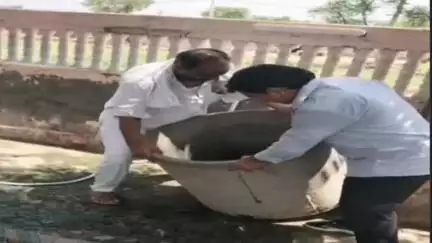 नूह: जिले में डेंगू का मामला सामने आने से स्वास्थ्य विभाग सतर्क, सुधार कार्य में जुटा