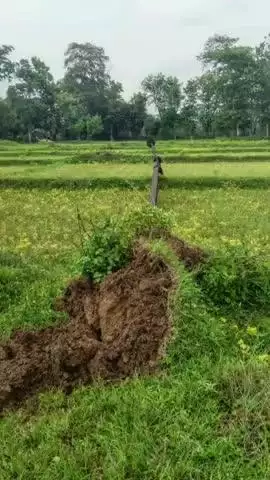 बोराम: हारुडीह में 33 केवी के दो पोल गिरने से पटमदा में बिजली गुल