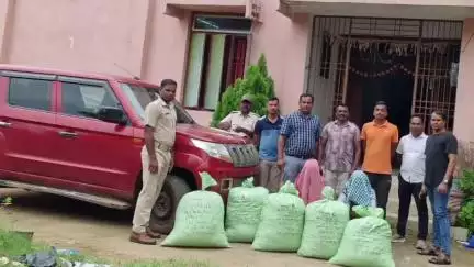 ଆସିକା: ଝଗଡେଇ ଛକ ଏବଂ ପାକଲାପଲ୍ଲୀ ଛକ ନିକଟରୁ ୯୦ କେଜି ଗଞ୍ଜେଇ ଦୁଇ ଗାଡି ସହ ଦୁଇ ଗିରଫ