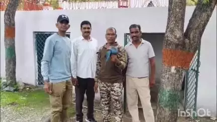 राजसमंद: नगर परिषद क्षेत्र राजसमंद में घायल अवस्था में मिला दुर्लभ अफ्रीकी-यूरोपीय किच मुर्गा, वन विभाग की टीम ने किया रेस्क्यू