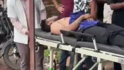 रायसेन: हलाली डैम पर पिकनिक मनाने आए मेडिकल छात्रों पर मधुमक्खियों का हमला, 6 छात्र घायल