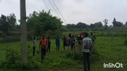 पांडू: सिंजो में ग्यारह हजार वोल्ट का टूटा विद्युत तार विभाग द्वारा किया गया दुरुस्त