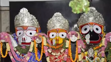 मुंगेली: जिले में सेवा समिति द्वारा निकाली गई भगवान जगन्नाथ की भव्य रथयात्रा, MLA पुन्नूलाल मोहले और नपा अध्यक्ष ने खींचा रथ