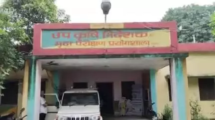मुगलसराय: जिले के किसानों को पहले आओ, पहले पाओ के आधार पर मिनी किट बीज का निशुल्क वितरण होगा, जिला कृषि अधिकारी ने दी जानकारी