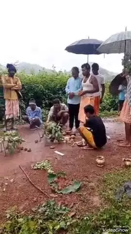 ପଟ୍ଟାଙ୍ଗୀ: ଚଲାଣପୁଟ ଠାରେ ଆସାଡ଼ଯାତ୍ରା ଅନୁଷ୍ଠିତ , ଭଲ ବର୍ଷା ଭଲ ଶସ୍ଯ ଗାଁର ସୁଖ ଶାନ୍ତି ହୁଏ ପୂଜାଅର୍ଚ୍ଚନା