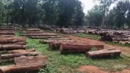 जिला मोहला मानपुर अंबागढ़ में स्टेशन से सुदूरवर्ती क्षेत्र में वन विभाग की योजनाओं का लाभ मिल रहा है, दिए गए निर्देश