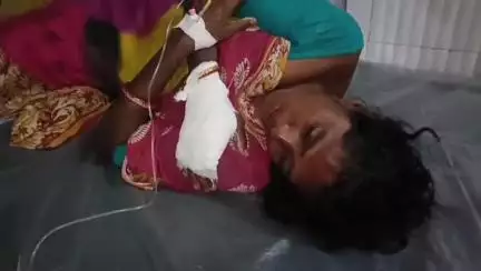 ক্যানিং ১: নারকেল চারার জন্য প্রাণ যেতে বসেছিল ত্রিদিব নগরের গৃহবধূর, ভয়ংকর কান্ড ঝড়খালীতে, ক্যানিং মহকুমা হাসপাতালে চিকিৎসাধীন
