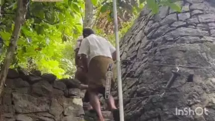 താമരശ്ശേരി: പരാതിക്ക് പുല്ലുവില, പൊന്നാങ്കയത്ത് കാട്ടാന ശല്യം തുടരുന്നു, ശാശ്വത പരിഹാരം വേണമെന്ന് കർഷകർ #localissue